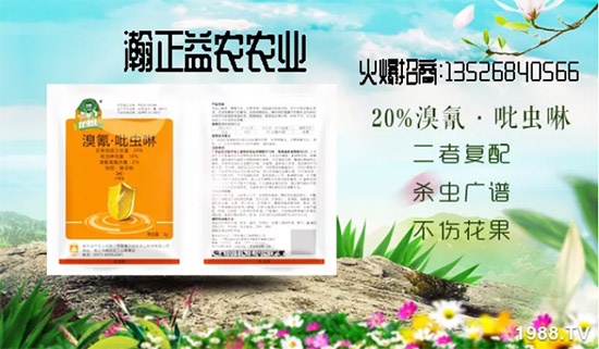 ��������r(n��ng)��ף�V��(j��ng)�N��2020���I(y��)�v�w����������������