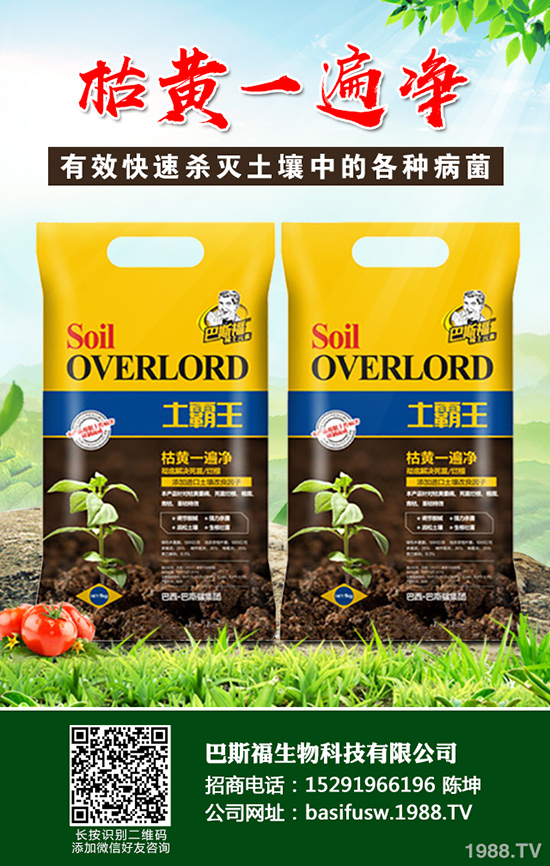 ���Sԓ��ηNֲ�����S�ĸ�Ч���༼�g(sh��)����Щ��