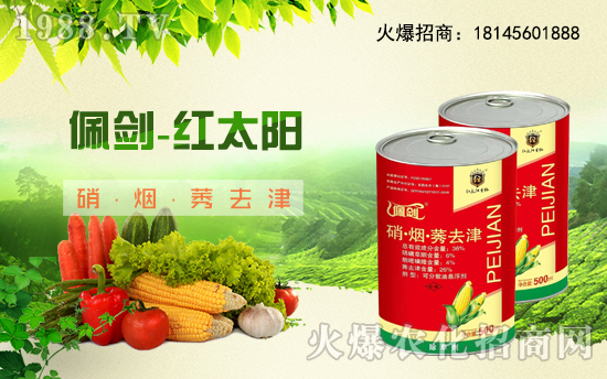 ���t̫������ףȫ�����ؽ�(j��ng)�N������ǧ�¼������f��������