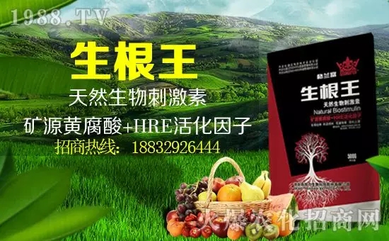 ���������ף������µ�һ�������w�������H�Қg����