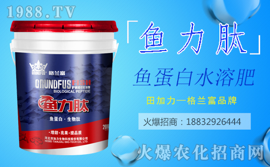 ���������ף������µ�һ�������w�������H�Қg����