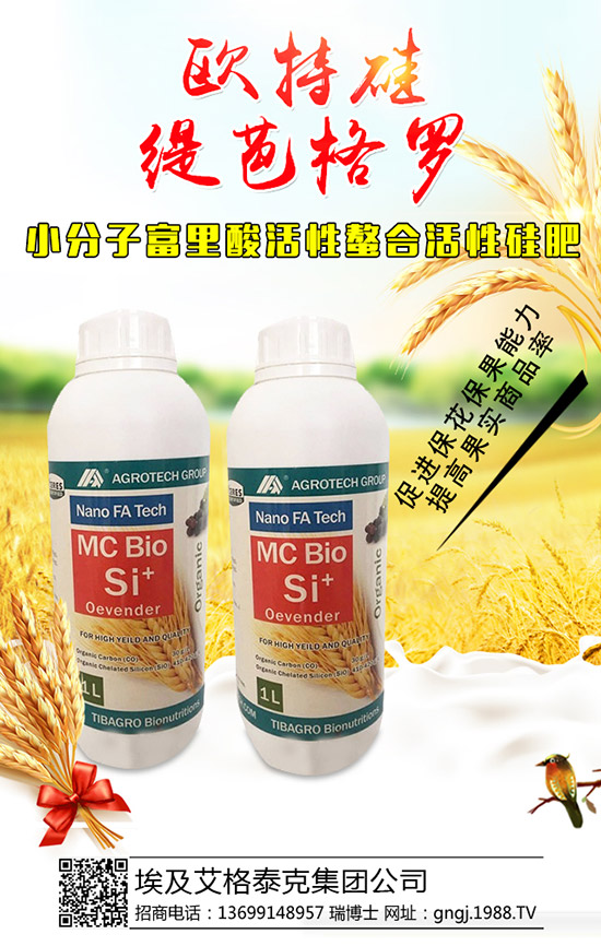 ���������Y(ji��)��������ô���£��������������������