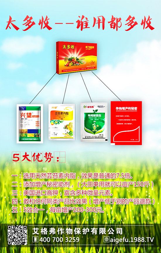 ���۵ķNֲҪ������Щ�����۵ķNֲҪ�c(di��n)��