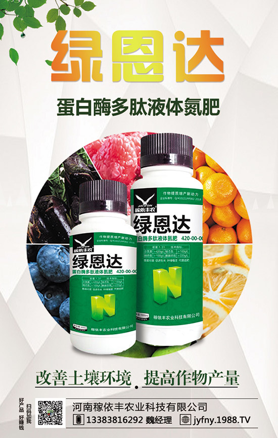 2020年種黑番茄賺錢嗎?黑番茄與普通番茄的區(qū)別有哪些?