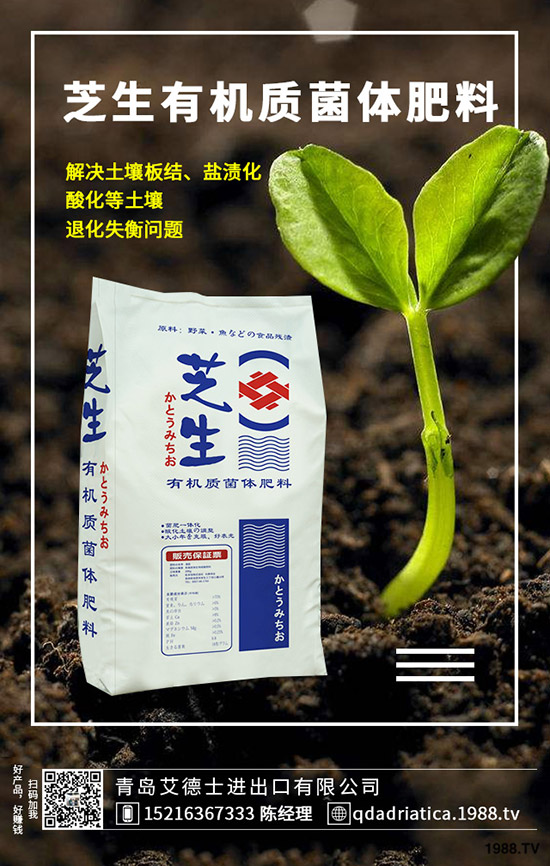 ��������Щ�I�B(y��ng)�r(ji��)ֵ�����ҵĹ�Ч�c������ʲô������xُ��