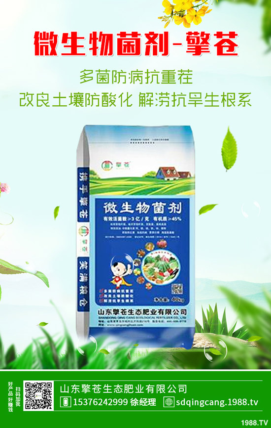     2020��1��1�ն��@��������һ�����r��(w��n)��ƫ���\����