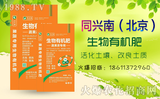     2020⛷ʃr���߄���������������߄��A(y��)�y��