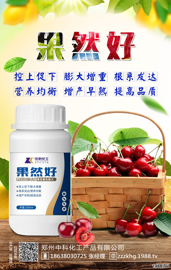 �O����Ę������Щ�Y�����O����Ę��ԭ�򼰷�����