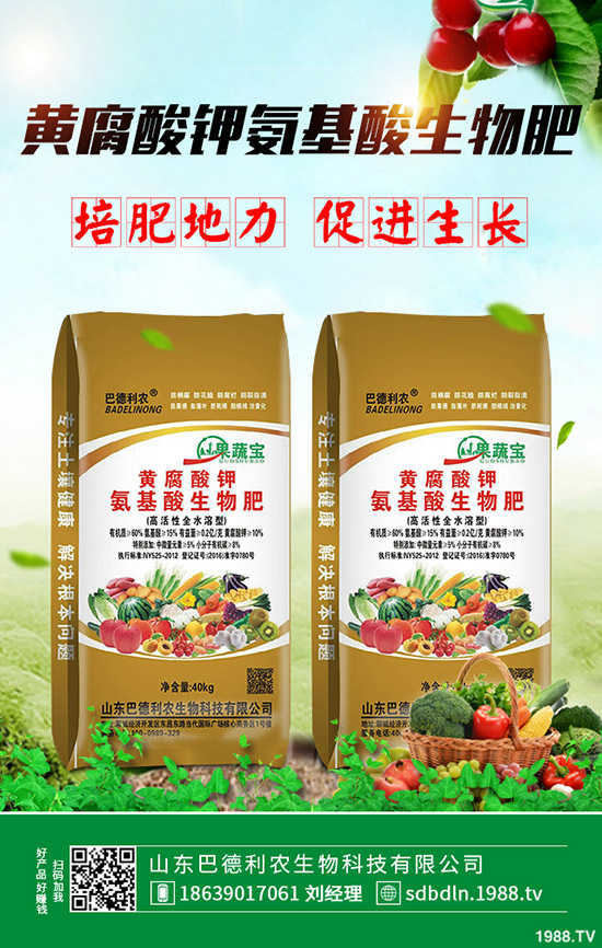 2020年魔芋種植怎么樣?種植前景好么?種植成本、利潤有多少?