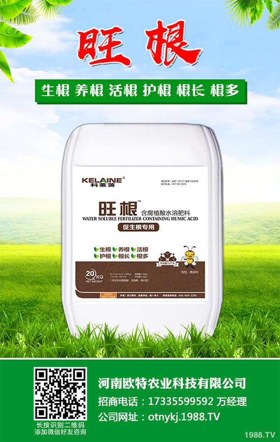 �t������Щ���湦Ч���t�ٵĹ�Ч���ü�������Ⱥ