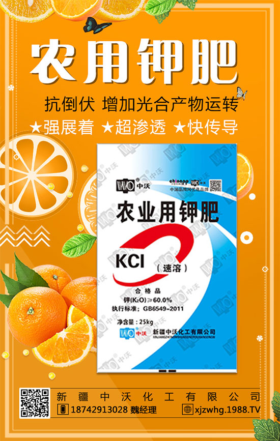 ���½����ֻ�������ף������������옷�����꼪����2020�L�Lؔ(c��i)Դ��