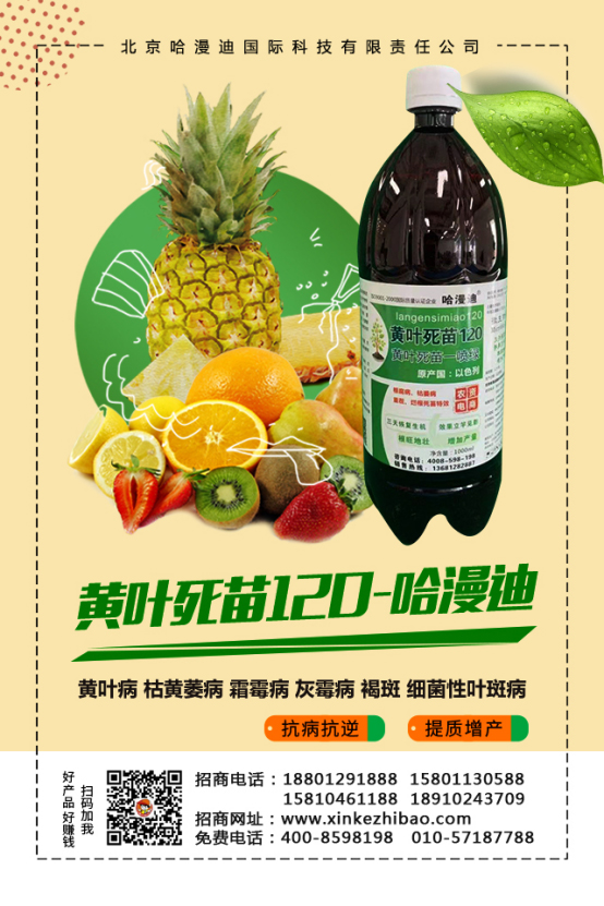 ���ο�ֲ����ףԸһ·�������т����w���������꼪�飡�H�Қg����