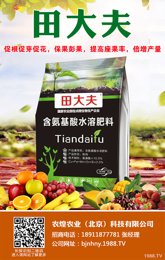 種植什么水果會(huì)賺錢?2020年水果種植指南