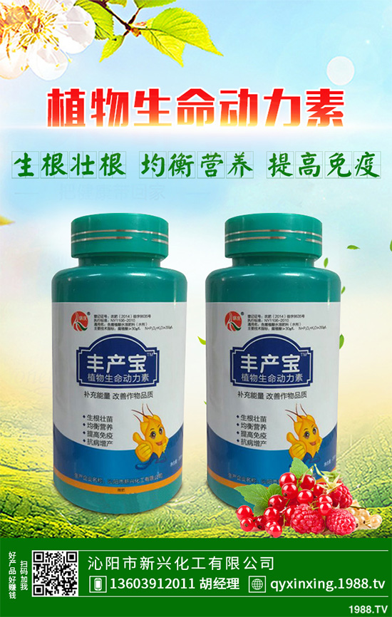 ���Ӳ��ܷN�ô�ײ�����ײ˸߮a(ch��n)�Nֲ���g(sh��)Ҫ�c(di��n)