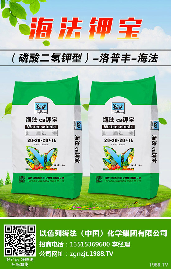 �������ö�������޼�����䶬���޼��ĕr�g��������