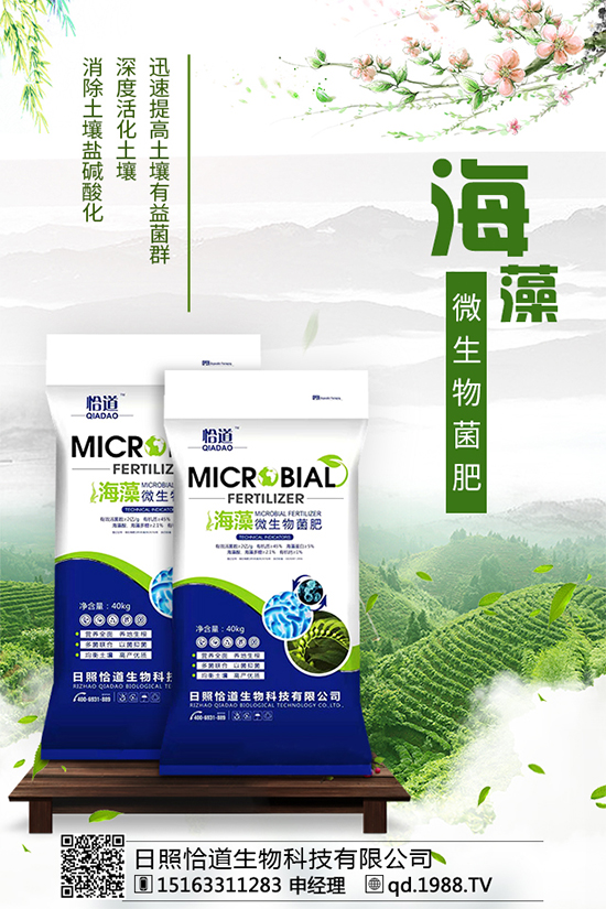     ��������Щ�I�B(y��ng)�rֵ����������ʲô��̎��