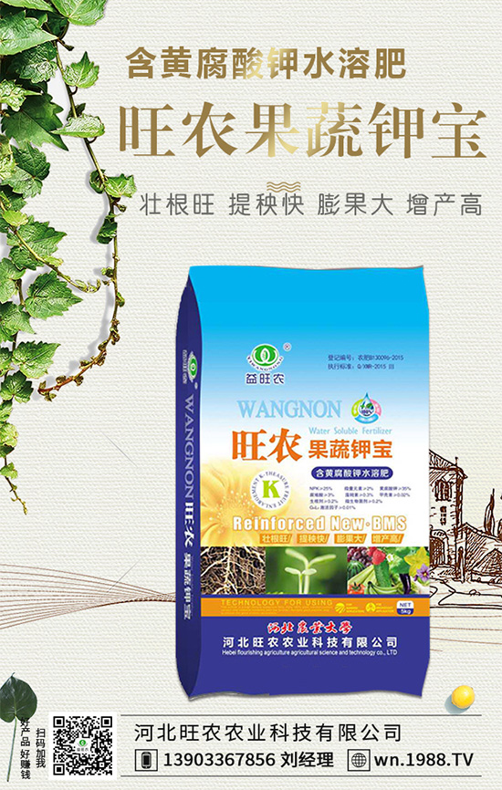 郁金香生長習(xí)性有哪些?郁金香養(yǎng)護(hù)要點(diǎn)!