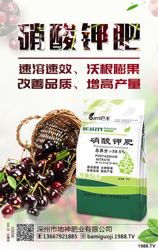 �t������r�g��ʲô�r�����t�����緽������Щ��