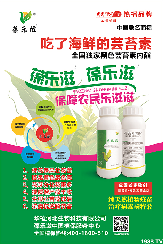 ���Aֲ�ӱ���ף����������������ⲽ�����������д��\(y��n)��