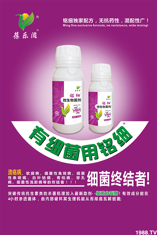 ���Aֲ�ӱ���ף����������������ⲽ�����������д��\(y��n)��