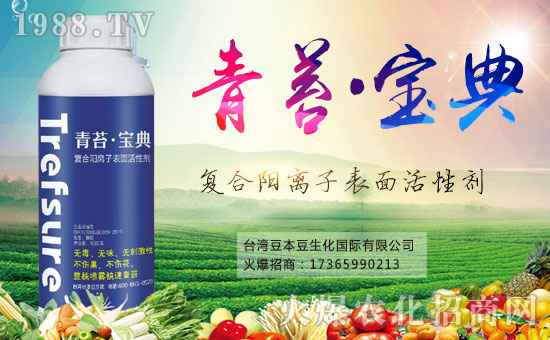 ��������������ף���������Ͽ͑���(j��ng)�N�����т�������󼪴����������d����