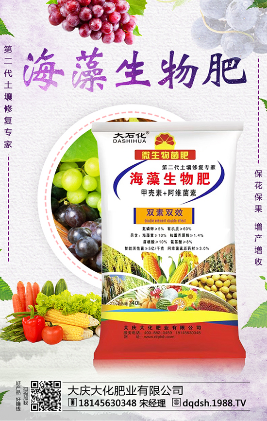 �����߲�