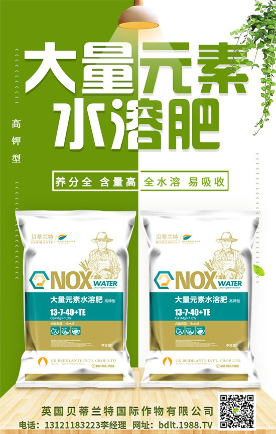 ��Ӣ��ؐ���m�ء�ף���g�gϲϲӭ�������f������ƽ���꣡