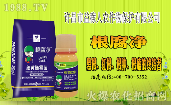 ���S��������ˡ�ף������µ�һ����ؔ(c��i)�\(y��n)�L�L�������d����