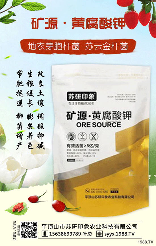 ��ƽ�ɽ���K��ӡ��ף������µ�һ�������w�����������³ɣ��f��������