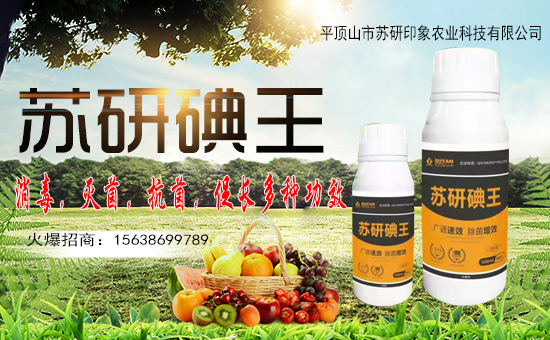 ��ƽ�ɽ���K��ӡ��ף������µ�һ�������w�����������³ɣ��f��������