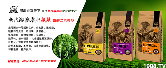 �������r(n��ng)�����¡�ȫ�w�T��ף����´��옷(l��)������������