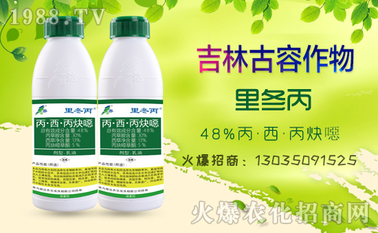     �����ֹ��ݡ�ף������w��������ͥ��̩���f(w��n)�����⣡