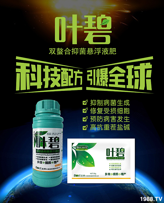     ����˹�����ף���ٸ��R�T�����������������´���2020�´��옷��