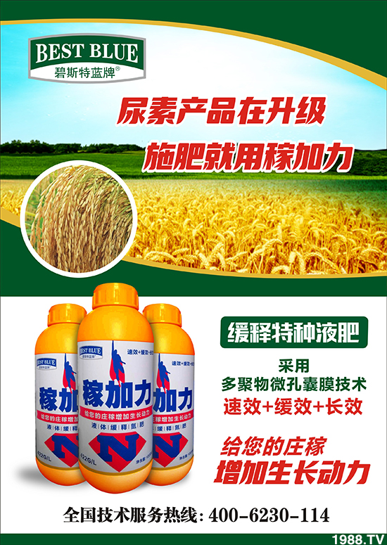     ����˹�����ף���ٸ��R�T�����������������´���2020�´��옷��