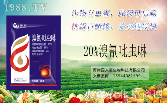 �����χ��˸������˸������¸�����ף���Ͽ͑�����옷���������