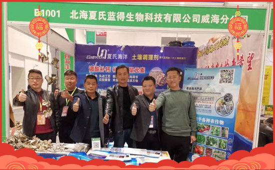 �����������{(l��n)�á���ף���Ͽ͑������д��\(y��n)��ؔ(c��i)Դ�L�L��(l��i)�������³���