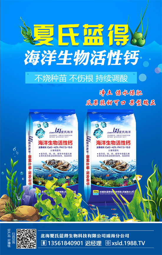 �����������{(l��n)�á���ף���Ͽ͑������д��\(y��n)��ؔ(c��i)Դ�L�L��(l��i)�������³���