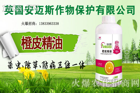 10�·Nֲ��Щ�߲˸����m�����g����Ҫ���c(di��n)ץ���Ď��c(di��n)��