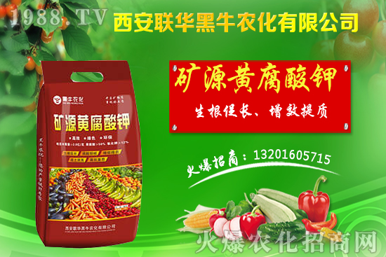 �＾����ԓ��ι������＾������푪(y��ng)������Ĵ��`�^(q��)��