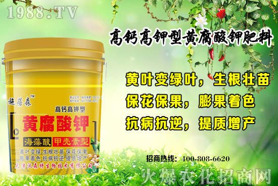 ��ݮ���L(zh��ng)��(du��)�h(hu��n)��Ҫ������Щ���＾��ݮ��ֲע�����(xi��ng)�͹�����ʽ��