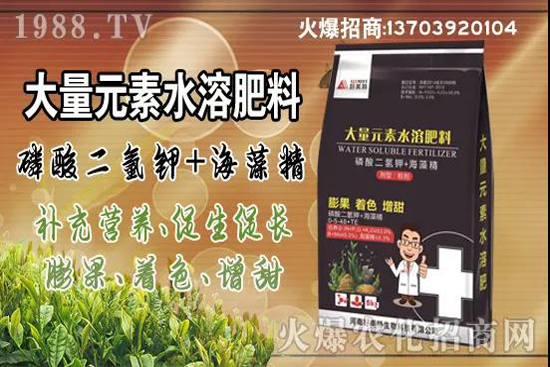 蔬菜旺長有哪些危害?秋茬蔬菜控旺三要點!