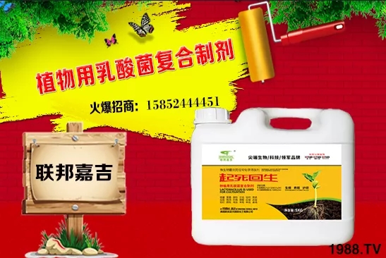 ���[���L�l������Щ�����[������c���＾������