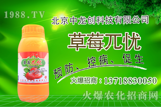 �������m�ϷNֲʲô��ˎ�������@�����׷N��Щ��ˎ�ģ�