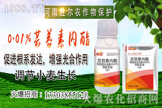 С���r���ϝq��(ji��)����u�d�������п�����10��22��С���r������