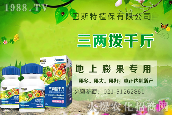 Ӱ�ţϥ��ϵ�����L��������Щ��ţϥ����������ʲô�~�����