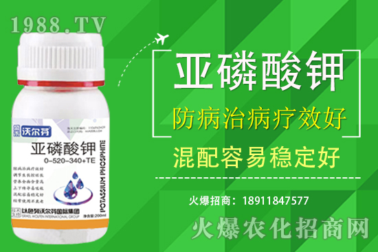 �������Ҫ��������ʲô������֮�g��ʲô�Pע��