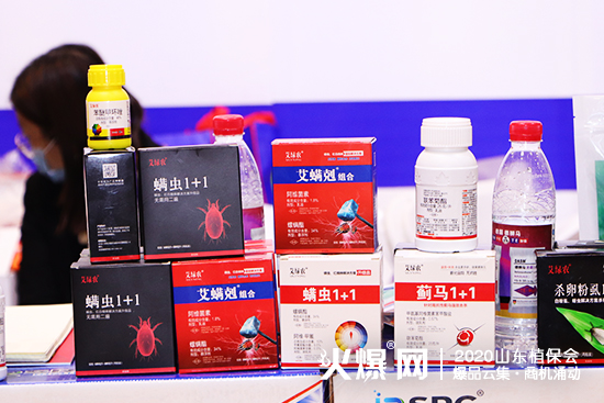 ɽ�|������2020ɽ�|ֲ�������W���ǈ�����Ź����