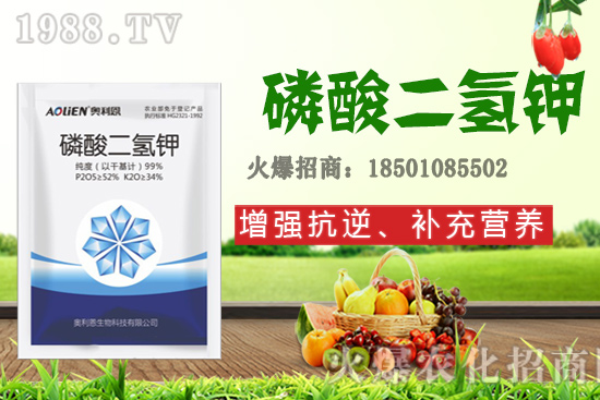 �����Ѿ���+�|̦�أ��������⛣���ʲô������