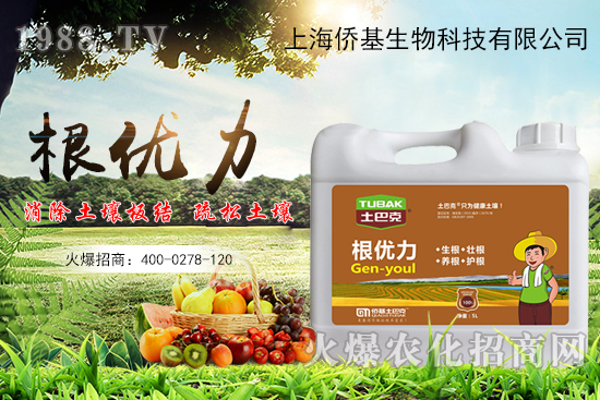 ����������ʲô�ʣ��������x������Щ��