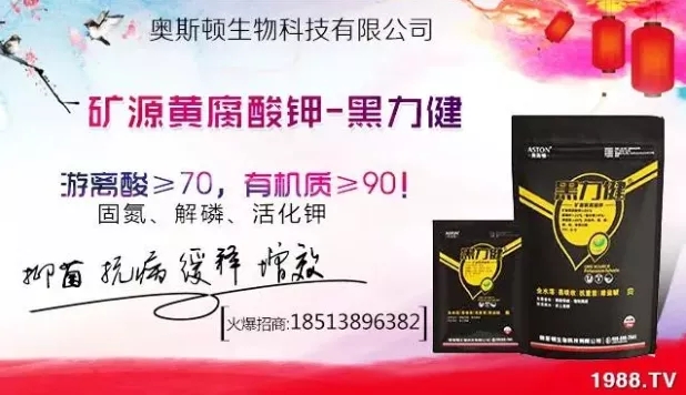 ����ʲô�r�g���N��ע���������Щ�����ش���Nֲ�r�g����